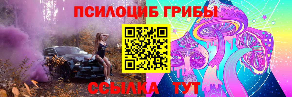 Псилоцибиновые грибы MAGIC MUSHROOMS Новокубанск